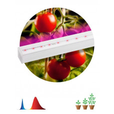Светильник светодиодный для растений FITO-14W-Т5-N 14Вт 220-240В